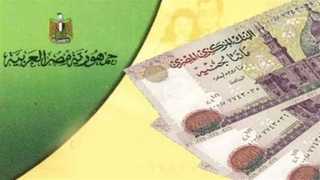 تحديثات مهمة.. خطوات لتأكيد بيانات بطاقة التموين قبل الموعد النهائي